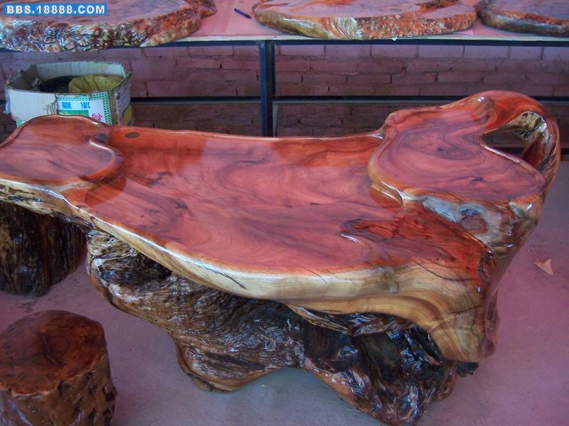 100_1909.JPG