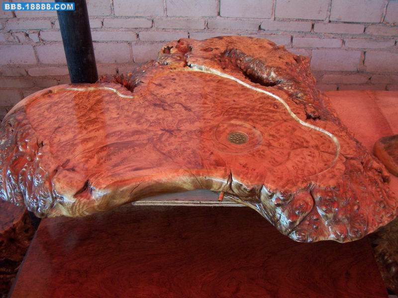 100_1863.JPG