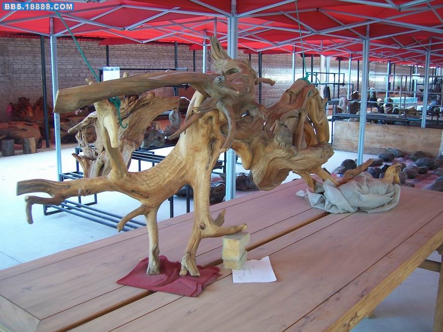 100_1928.JPG
