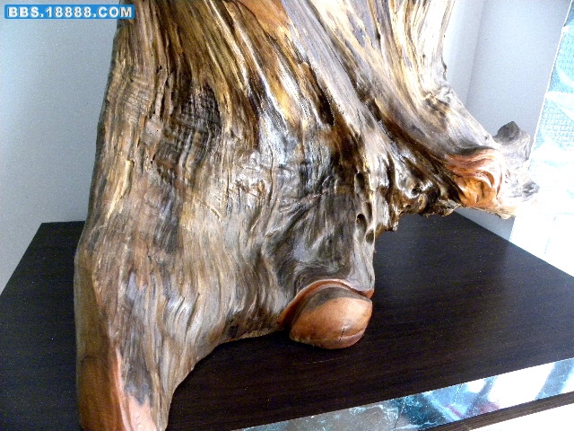 DSCN0837.JPG