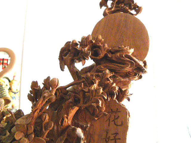 DSCN0501.JPG