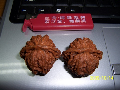 100_5997-1.JPG