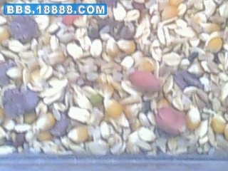 IMG0314A.jpg