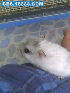 090926a.jpg