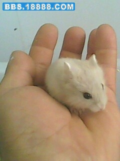 090926e.jpg