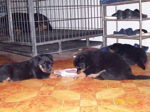 100_1930.JPG