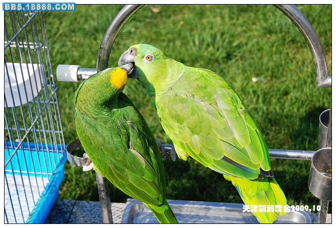 nEO_IMG_DSC_3938.jpg