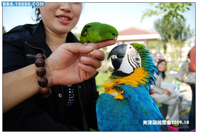 nEO_IMG_DSC_4167.jpg