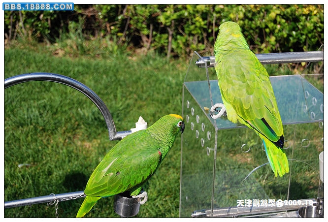 nEO_IMG_DSC_3926.jpg