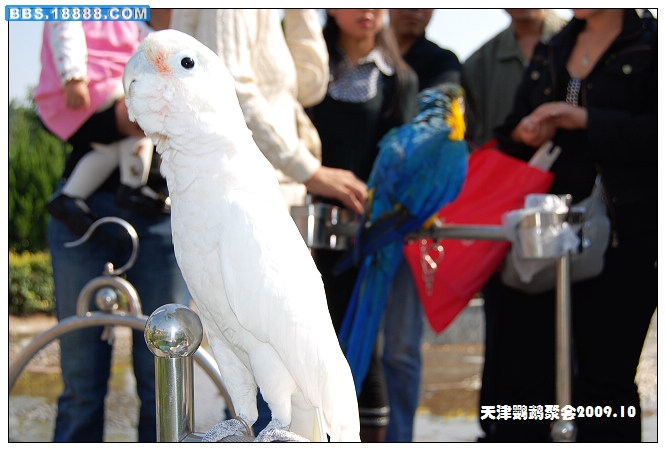 nEO_IMG_DSC_3971.jpg