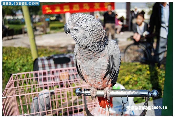 nEO_IMG_DSC_3903.jpg