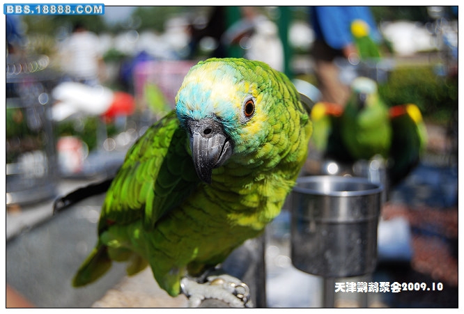 nEO_IMG_DSC_4087.jpg