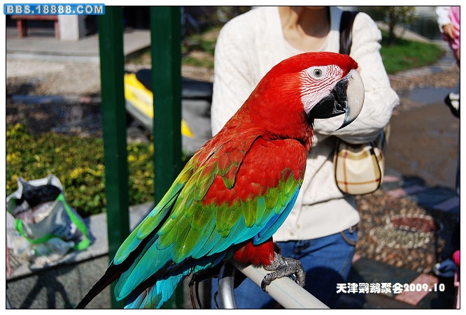 nEO_IMG_DSC_3972.jpg