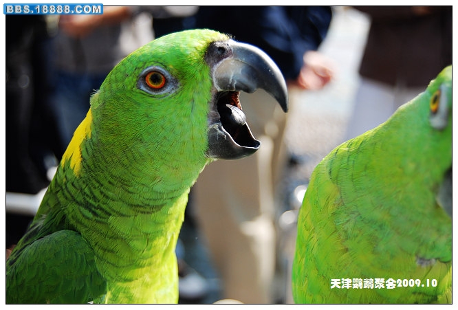nEO_IMG_DSC_3968.jpg