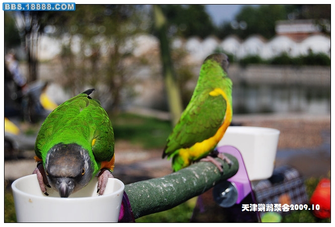 nEO_IMG_DSC_4052.jpg