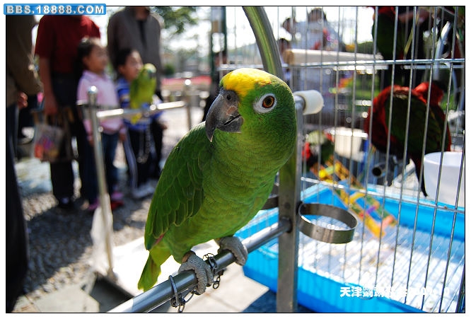 nEO_IMG_DSC_4058.jpg