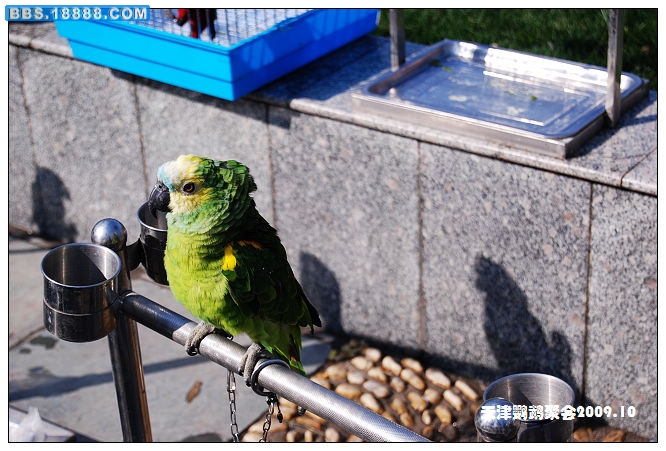nEO_IMG_DSC_3901.jpg