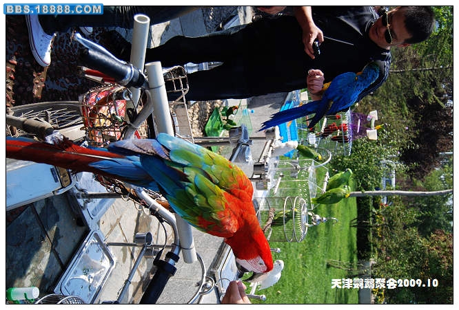 nEO_IMG_DSC_3986.jpg