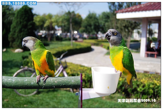 nEO_IMG_DSC_4171.jpg