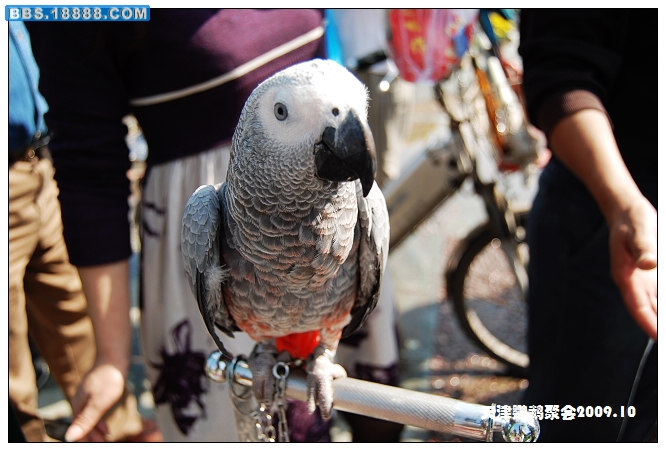 nEO_IMG_DSC_4075.jpg