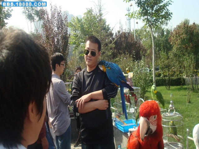 DSC02439.jpg