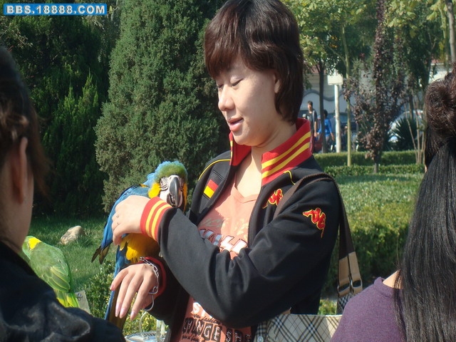 DSC02443.jpg