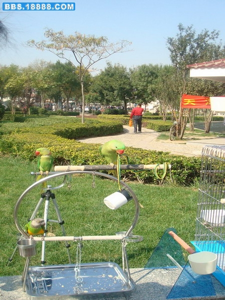 DSC02432.jpg