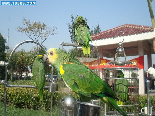 DSC02413.jpg
