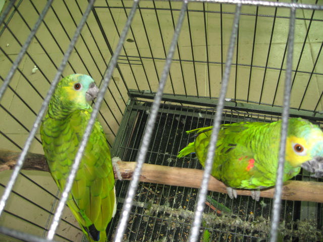 照片 160.jpg