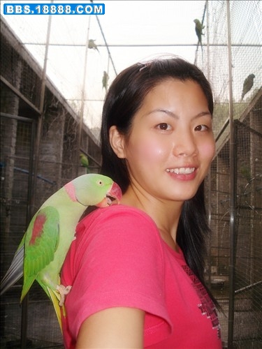 DSC00429_副本.jpg