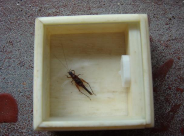 111.jpg