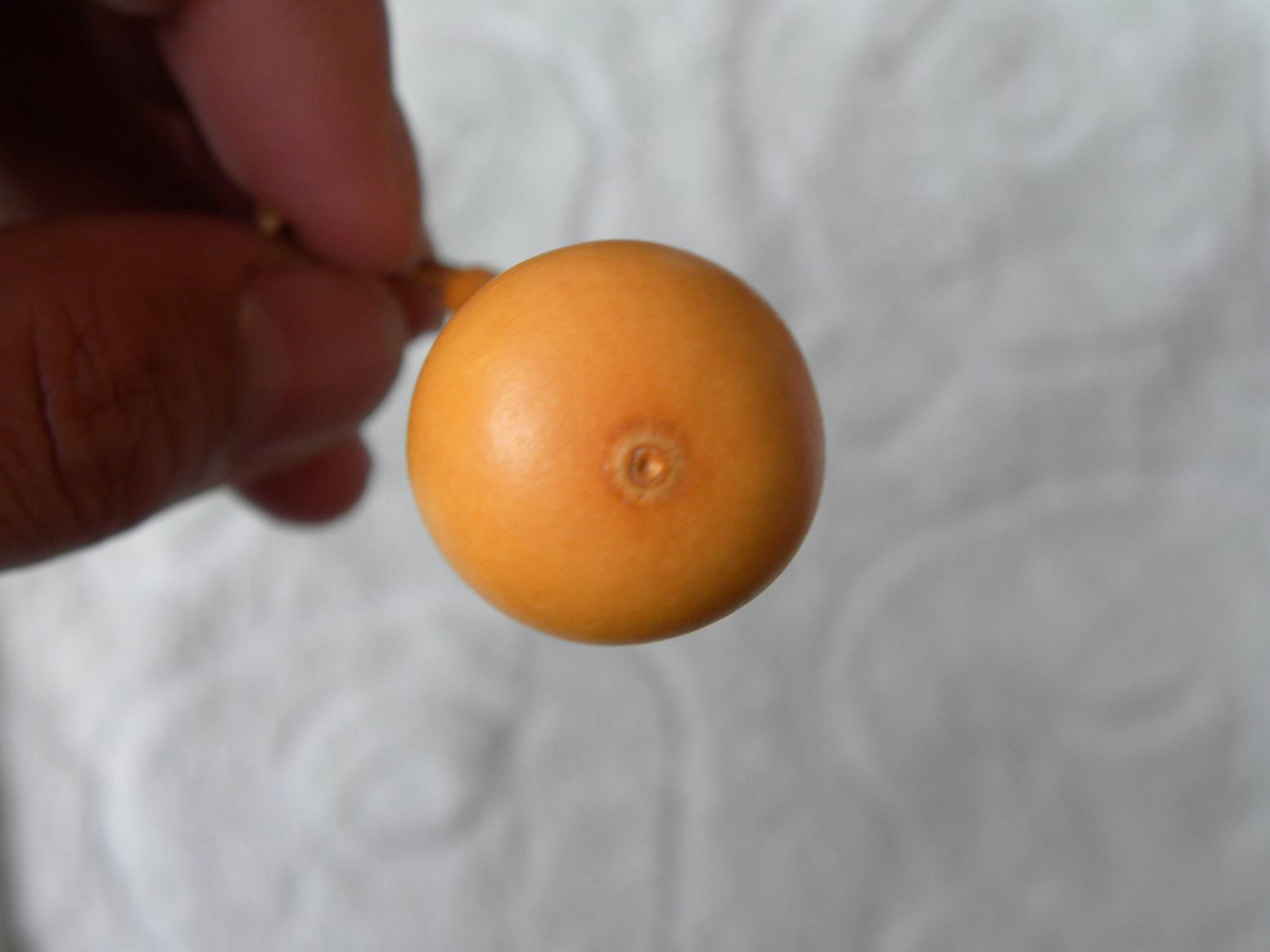 照片 044.jpg