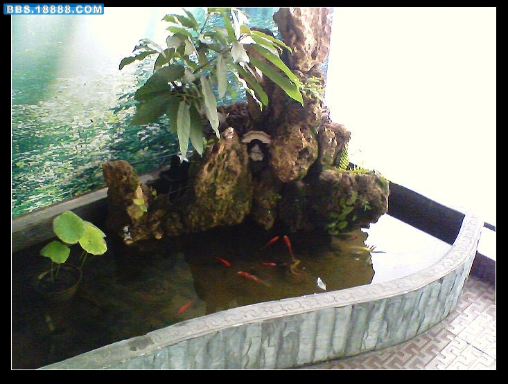 nEO_IMG_IMG0242A.jpg