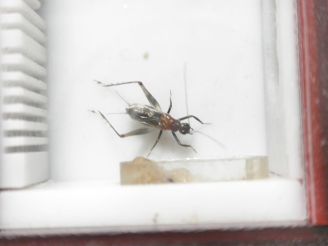 PA021119.JPG