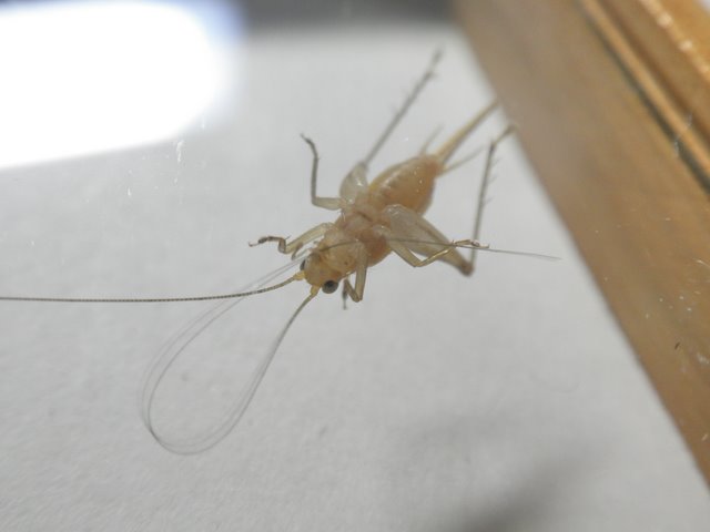 P9251051.JPG