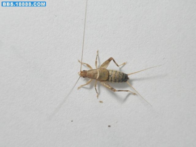 PA011103.JPG