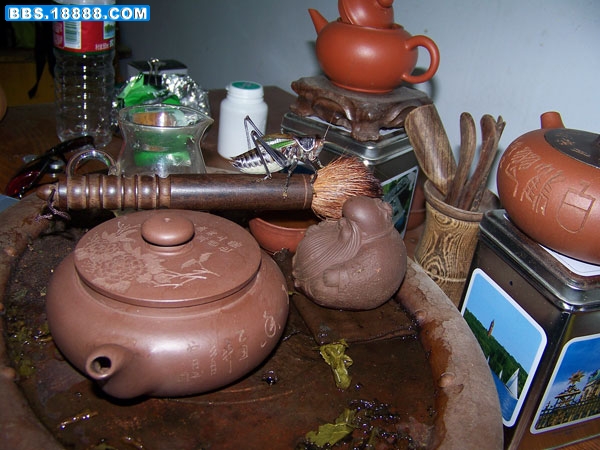 100_4962.jpg