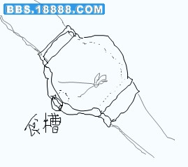111.jpg