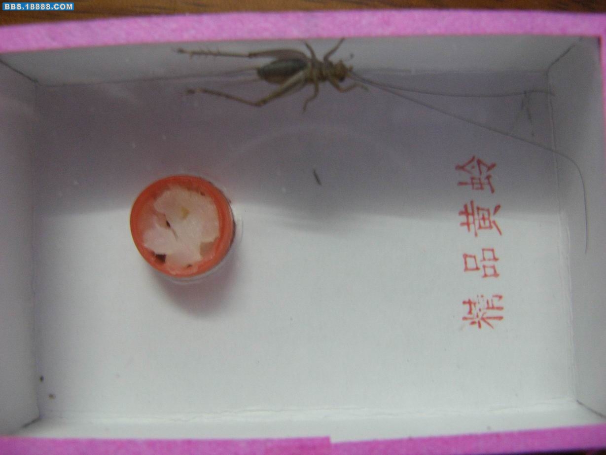 调整大小 1.jpg