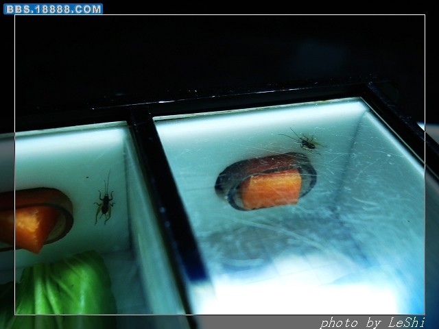 DSC09374.JPG