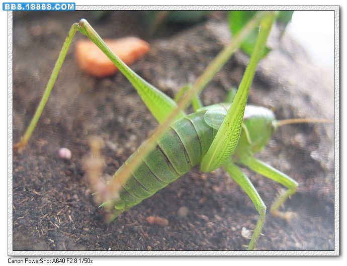 nEO_IMG_照片 028.jpg