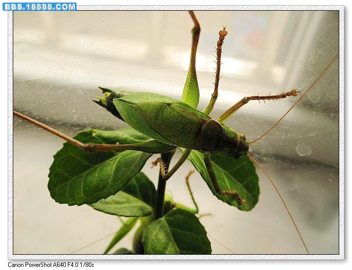 nEO_IMG_照片 029.jpg