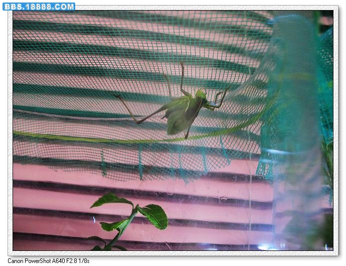 nEO_IMG_照片 029.jpg