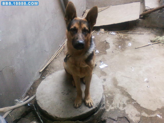 20091022083455.jpg