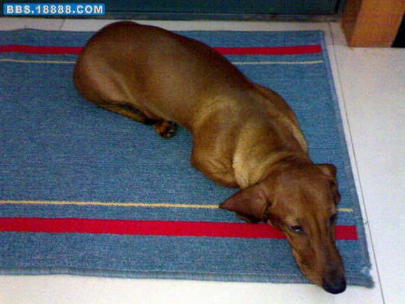 20091005499.jpg