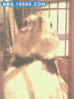 IMG1069A.jpg
