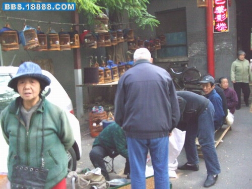 照片09.10.百灵 473二.jpg