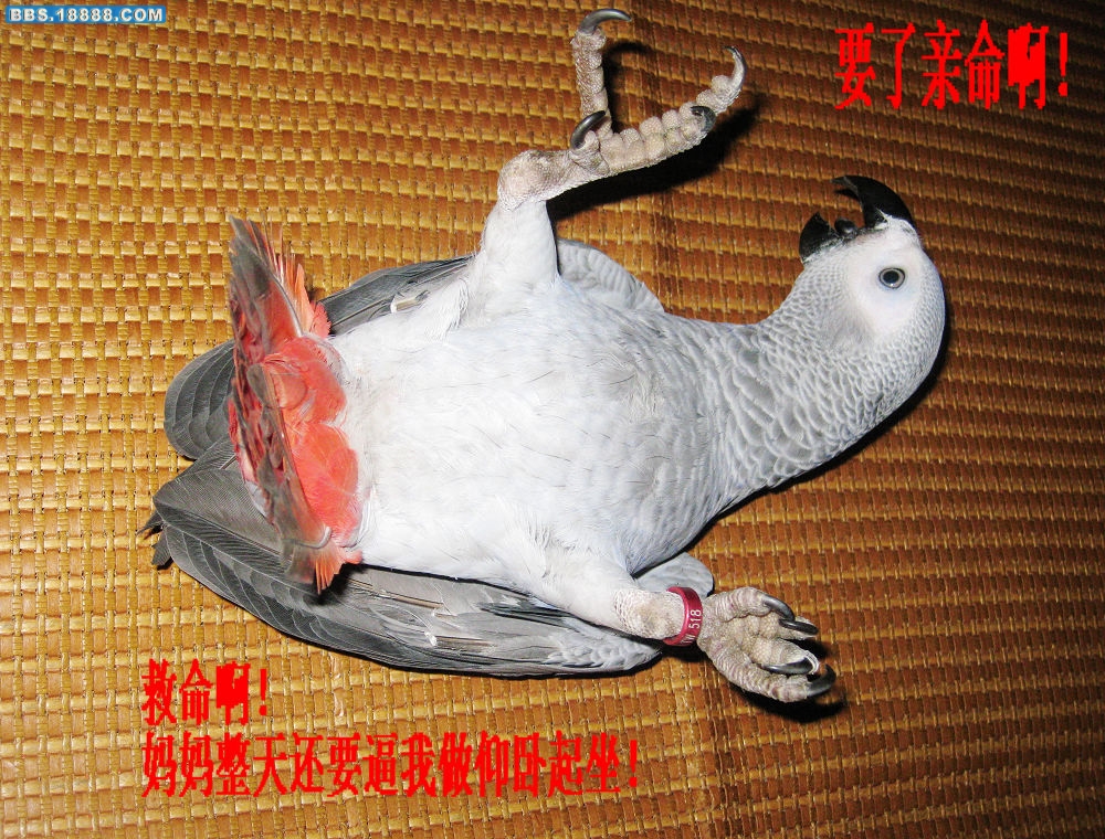 照片 222.jpg