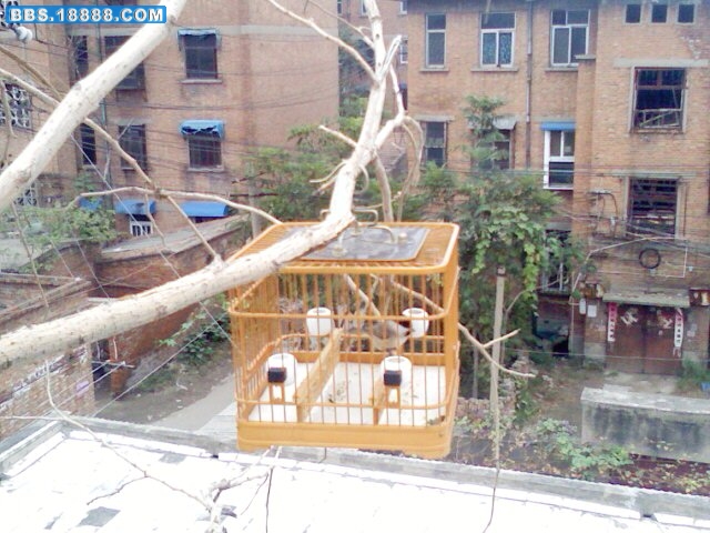 PIC-0409.jpg