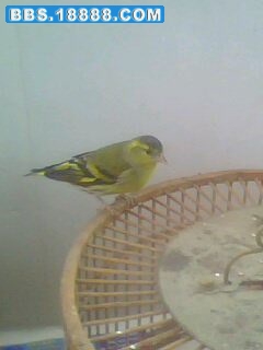 IMG0045A.jpg